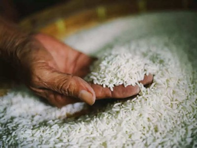 India exporting 75MT non-basmati rice to UAE